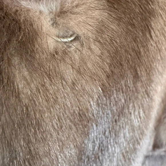 Christian Dior Vintage gorgeous mink - Picture 9 of 9